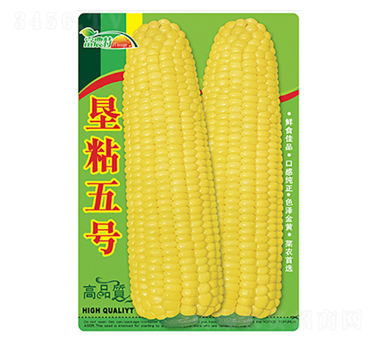 ���׷N��-��ճ��̖-����