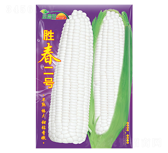 ���׷N��-�ٴ���̖-����