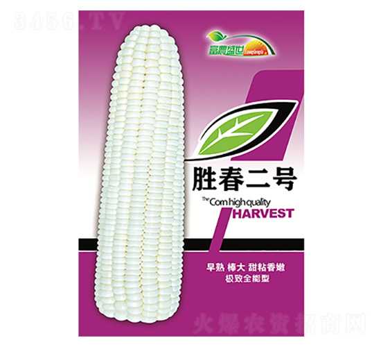 ���׷N��-�ٴ���̖��ɫ��-����