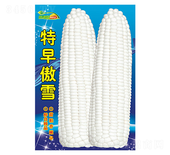 ���׷N��-�����ѩ-����