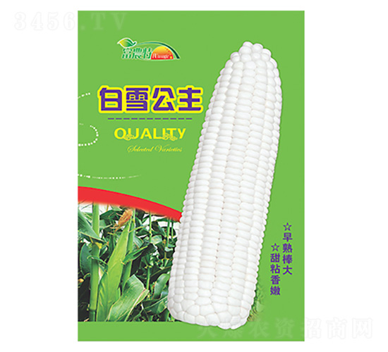 ���׷N��-��ѩ�����°�-����