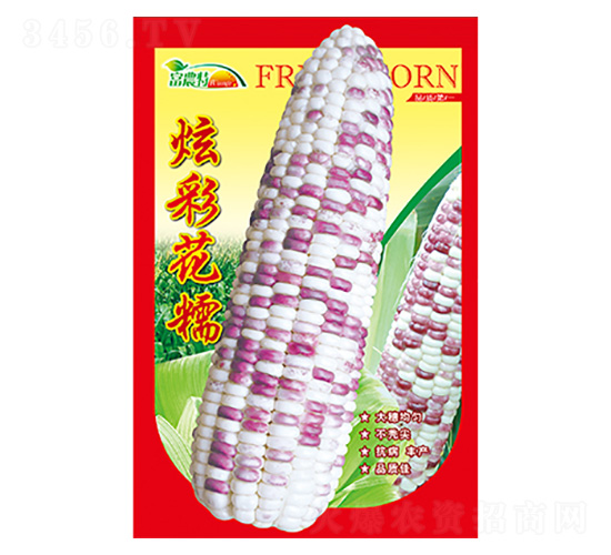 ���׷N��-�Ųʻ�Ŵ-����