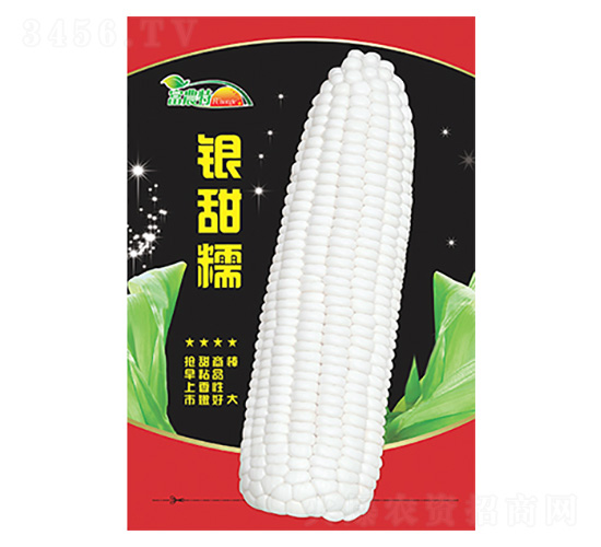 ���׷N��-�y��Ŵ-����