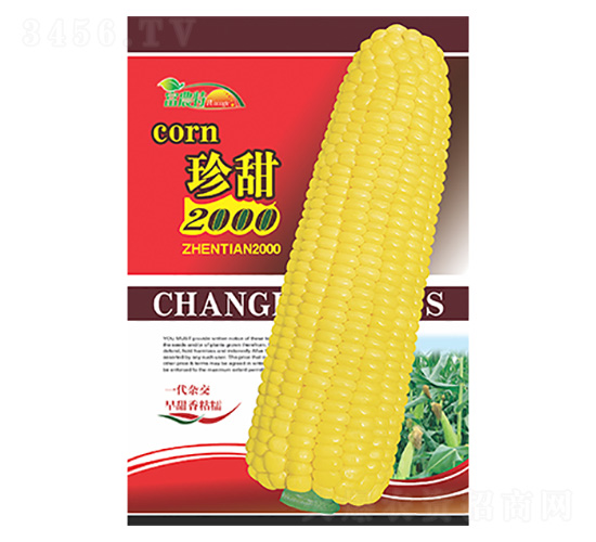 ���׷N��-����2000-����