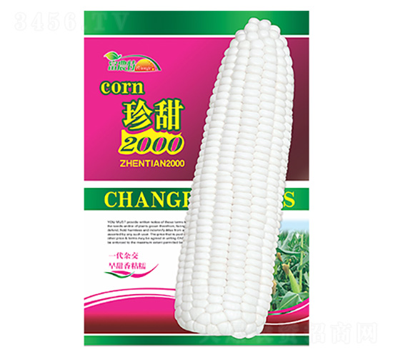 ���׷N��-����2000��Ŵ-����