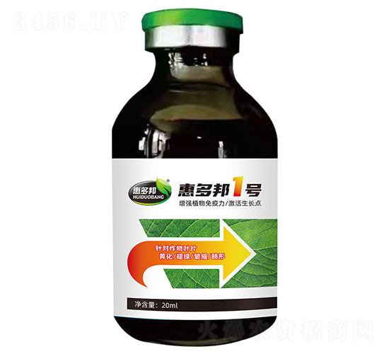 �ݶ��1̖(h��o)-�ݶ��