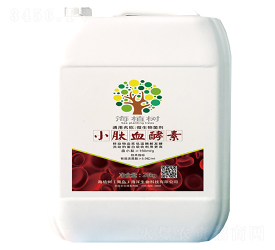 С��Ѫ����-΢�������-��ֲ��