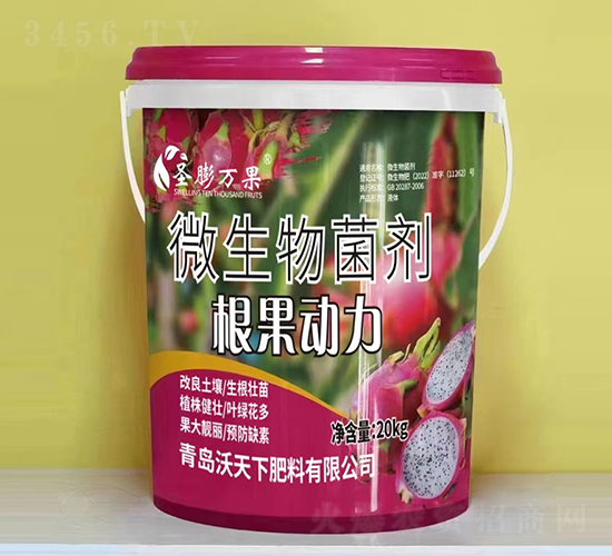 ��������΢�������-ʥ���f��-������