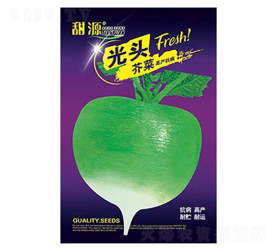 蘿卜種子-光頭芥菜-科星