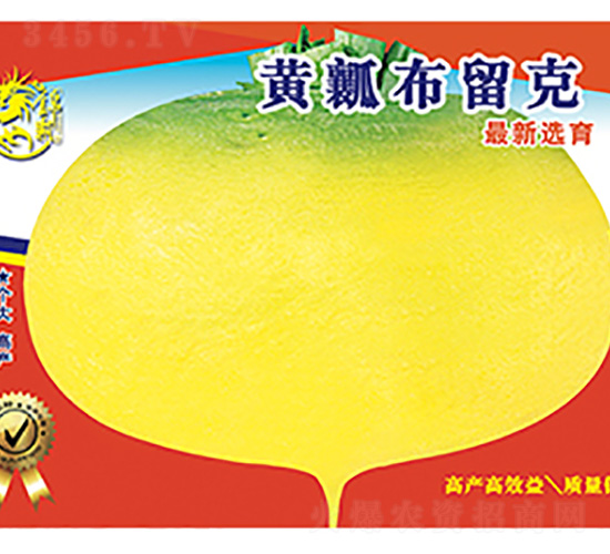 �}���N��-�Sȿ������-����