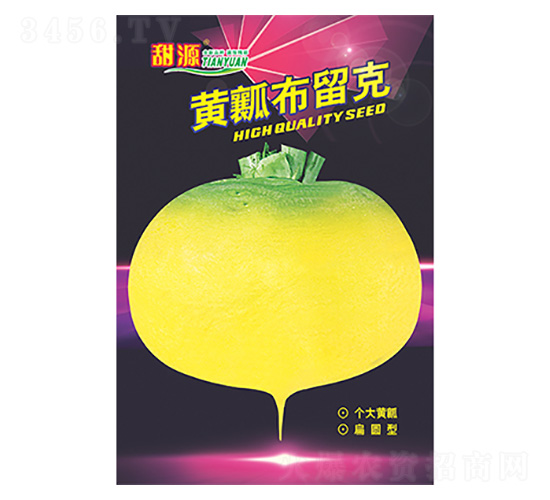 蘿卜種子-黃瓤布留克黑版-科星