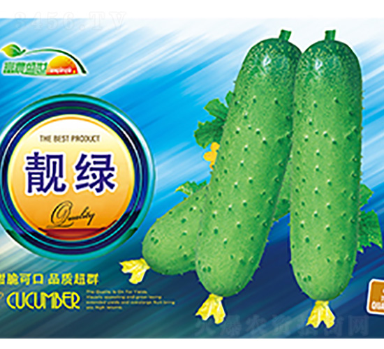黃瓜種子-靚綠-科星