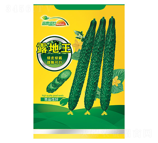 黃瓜種子-綠地王-科星