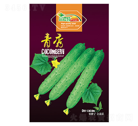 黃瓜種子-青秀-科星