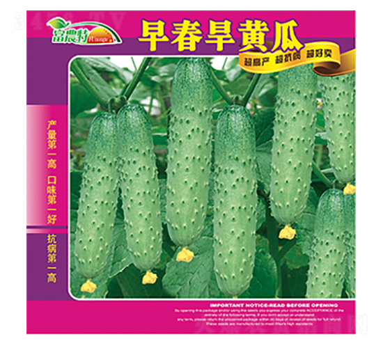 早春旱黃瓜-科星