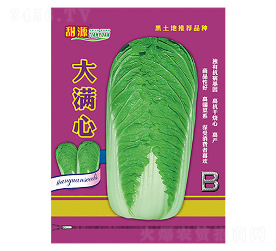 白菜種子-大滿心-B-科星