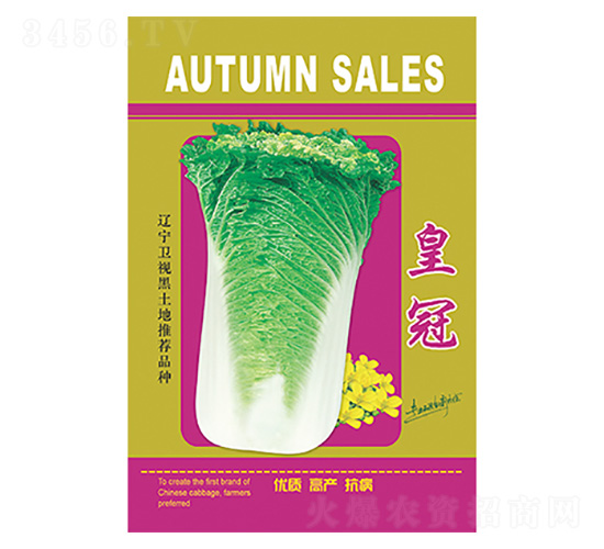 �ײ˷N��-�ʹ�-����