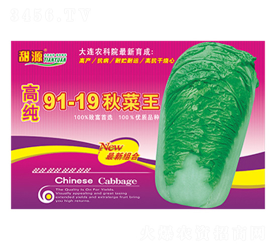 �߼�91-19�����-����