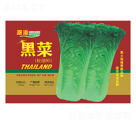 �ڲ˼tɫ���-����