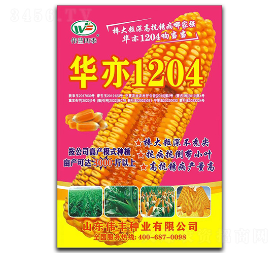 �A��1204-���׷N��-���S�N�I(y��)