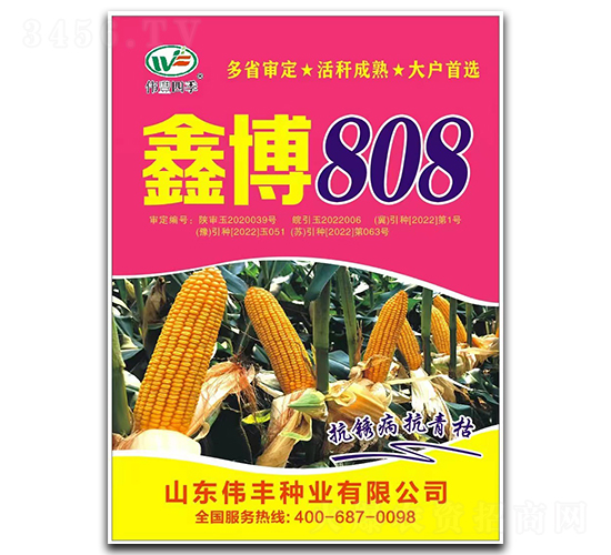 �β�808-���׷N��-���S�N�I(y��)