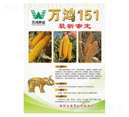 玉米種子-萬(wàn)鴻151-萬(wàn)鴻種業(yè)