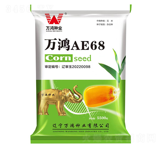 玉米種子-萬鴻AE68-萬鴻種業(yè)