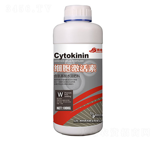 ��(x��)��������-�n��-�n��ʘI(y��)