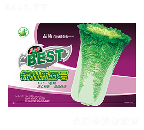 �ײ˷N��-�\������̖(h��o)�°��b-����