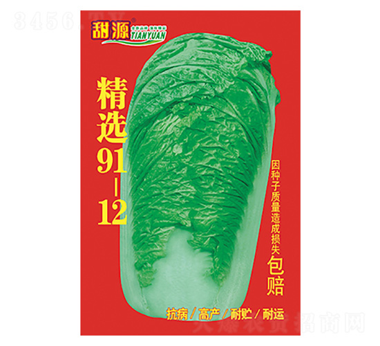 白菜種子-精選91-12-科星