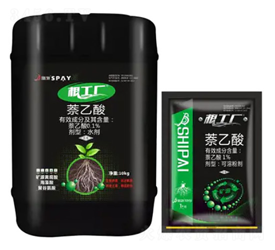 �����S-ʩ������