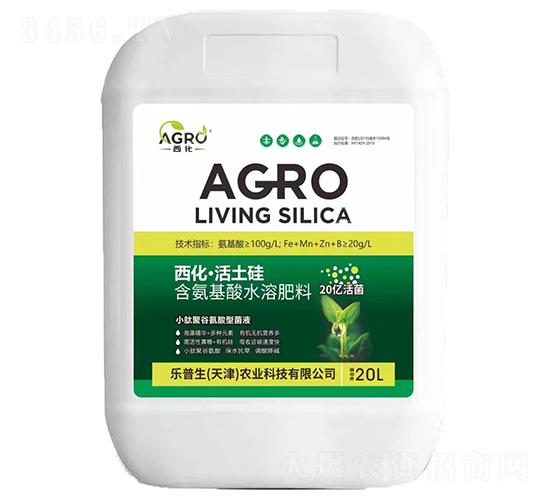 ������������-��(l��)����