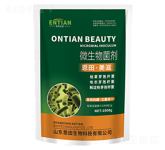 ΢�������-�������-��������