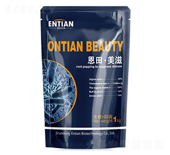 ���塤΢�������-�������-��������