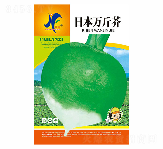 日本萬斤芥-晉豐-德盛豐