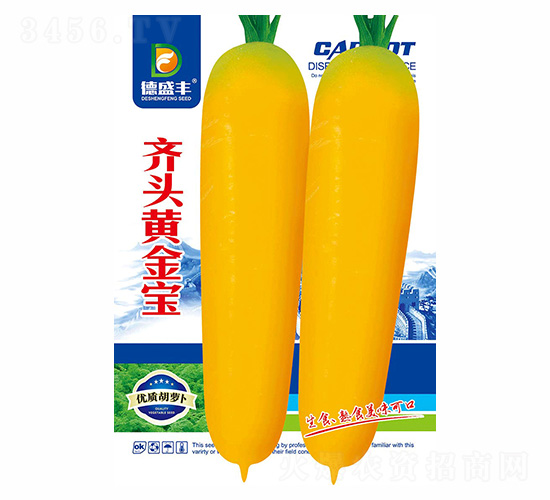 �R�^�S����-��ʢ�S