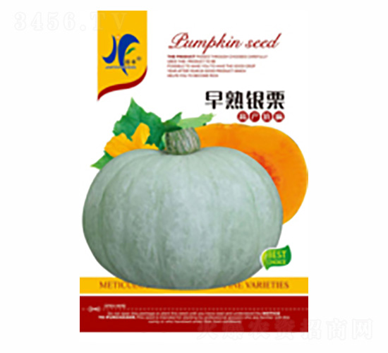 �����y��-�x�S-��ʢ�S