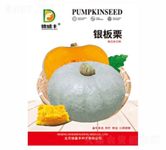 �y����-��ʢ�S