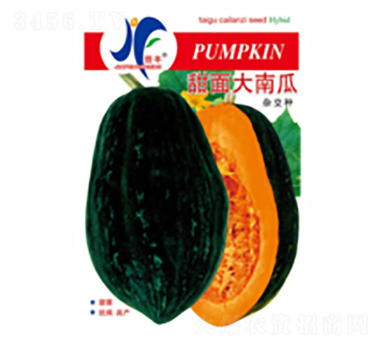 ������Ϲ�-�x�S-��ʢ�S