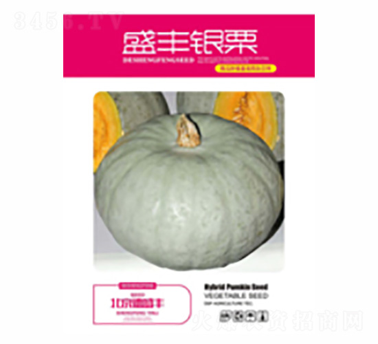 ʢ�S�y��-��ʢ�S