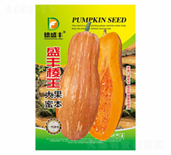 ʢ�S����-��ʢ�S