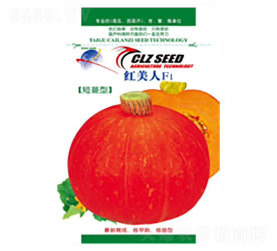 �t����-��ʢ�S