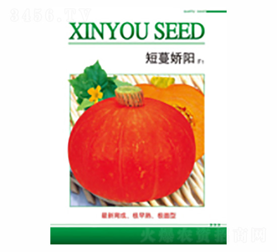 �������-��ʢ�S