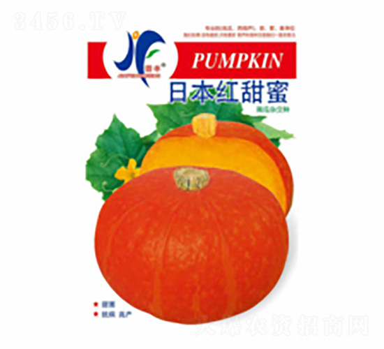 �ձ��t����-�x�S-��ʢ�S