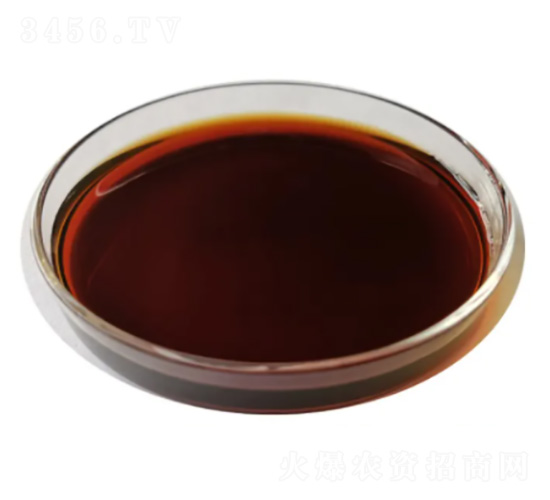 ������-��̩����