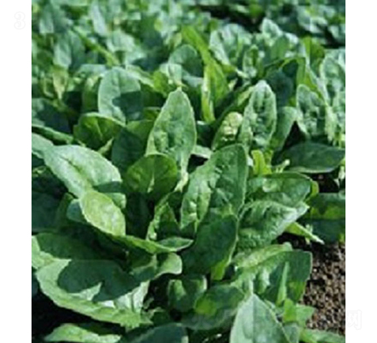 �ǻ�143-���˷N��-���r(n��ng)�r(n��ng)�I(y��)