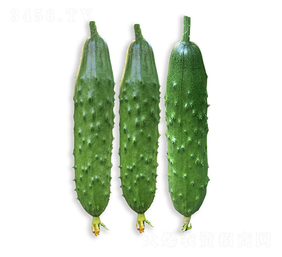 ���r(n��ng)�G��8̖(h��o)-�S�ϷN��-���r(n��ng)�r(n��ng)�I(y��)