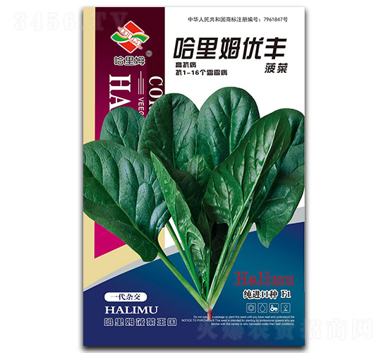 ����ķ��(y��u)�S-���˷N��-����ķ