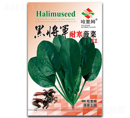 �ڌ�܊�ͺ�����-���˷N��-����ķ