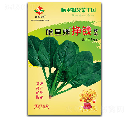 ����ķ���X����-���˷N��-����ķ